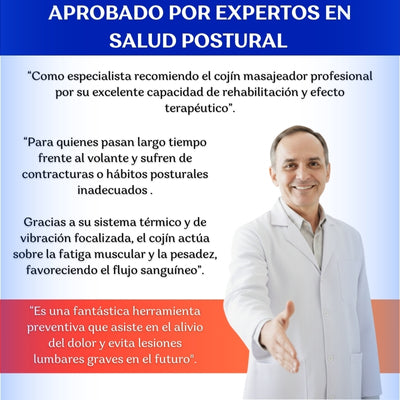 Cojín Masajeador para Carro